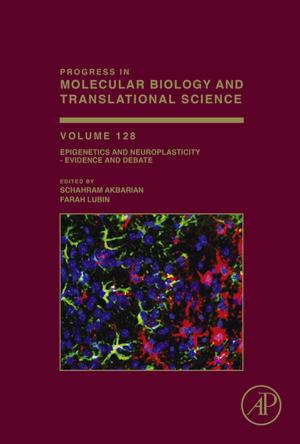 Cover of the book Epigenetics and Neuroplasticity - Evidence and Debate by Jesper Glückstad, Darwin Palima