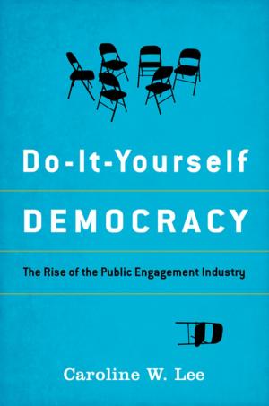 Cover of the book Do-It-Yourself Democracy by Maxwell A. Cameron