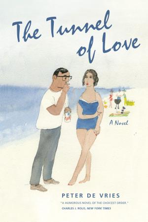 bigCover of the book The Tunnel of Love by 