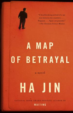 Cover of the book A Map of Betrayal by R E Swirsky