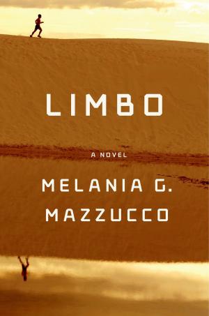 Cover of the book Limbo by Nicola Griffith