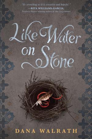 Cover of the book Like Water on Stone by Mallory Loehr