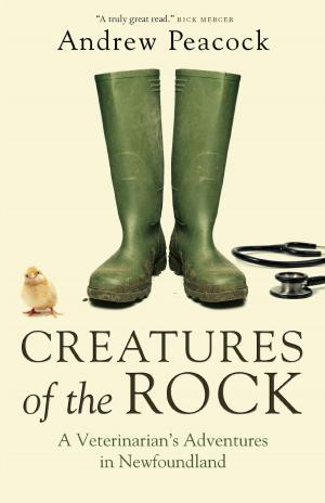 Book cover of Creatures of the Rock