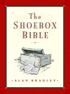 Cover of the book The Shoebox Bible by D'Arcy Jenish