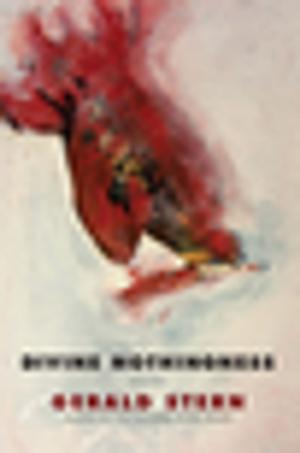 Cover of the book Divine Nothingness: Poems by Fuchsia Dunlop