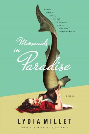 Cover of the book Mermaids in Paradise: A Novel by Edmund S. Morgan