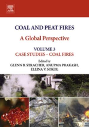 Cover of the book Coal and Peat Fires: A Global Perspective by M. Rafiqul Islam