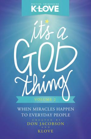 Cover of the book It's a God Thing Volume 2 by Ericka Andersen