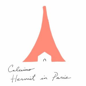 bigCover of the book Hermit in Paris by 