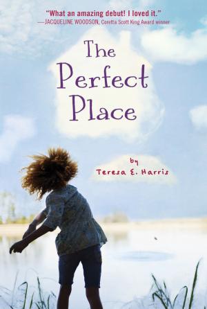 Cover of the book The Perfect Place by Cynthia Rylant
