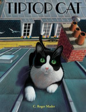 Cover of the book Tiptop Cat by Edward Hirsch