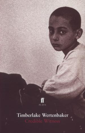 Cover of the book Credible Witness by Christopher Lee