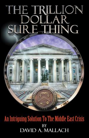 Cover of the book The Trillion Dollar Sure Thing by Tom Anderson
