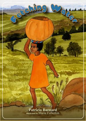 Cover of the book Fetching Water by Hugo Vaes