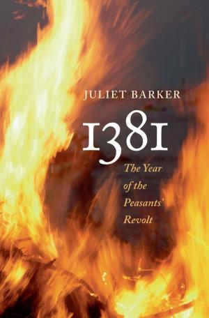 Cover of the book 1381 by Declan Kiberd