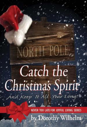Book cover of Catch The Christmas Spirit