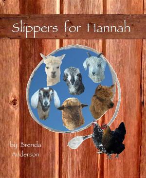 Cover of the book Slippers for Hannah by Ioanna Skarlatou