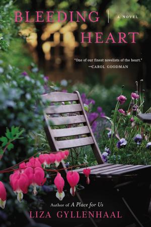 Cover of the book Bleeding Heart by Julia Romp