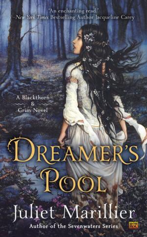 Cover of the book Dreamer's Pool by Kimberlee Auerbach