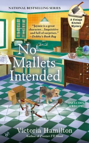 Cover of the book No Mallets Intended by Daniel Silva