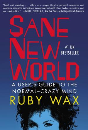 Cover of the book Sane New World by Anne Gracie