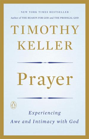 Cover of the book Prayer by Robert Benson