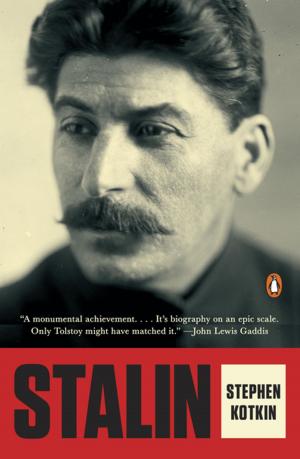 Cover of the book Stalin by Georges Simenon