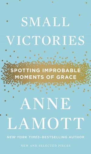 Cover of the book Small Victories by Nancy Atherton