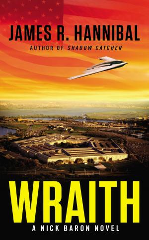 Cover of the book Wraith by Nora Roberts