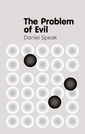 Cover of the book The Problem of Evil by Bernard J. Healey, Marc C. Marchese