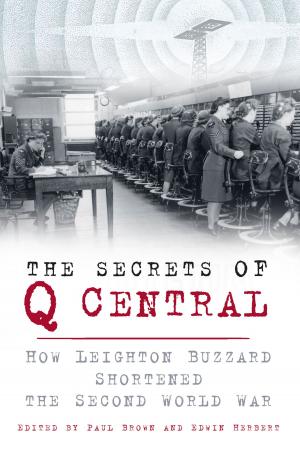 Cover of the book Secrets of Q Central by J H Schryer