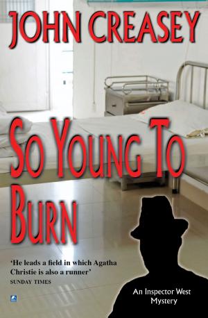 Cover of the book So Young to Burn by D.J. Donaldson