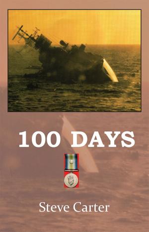 Cover of the book 100 days by Jairam Ramesh