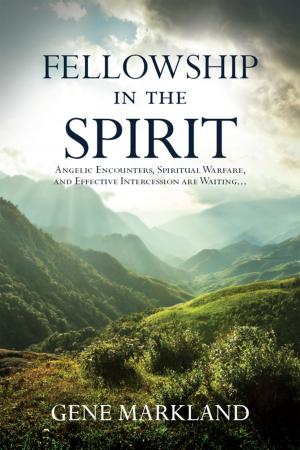 Cover of the book Fellowship in the Spirit by Randy Clark