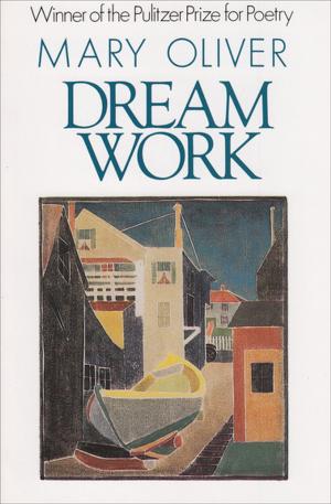 Cover of the book Dream Work by Gay Talese