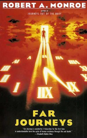 Cover of the book Far Journeys by Richard Martini