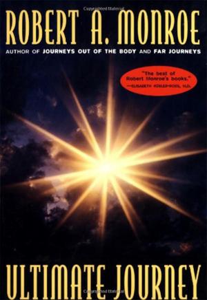 Cover of the book The Ultimate Journey by Reyne Astara