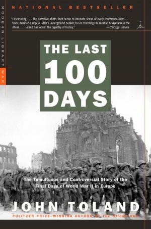 Cover of the book The Last 100 Days by Harry Connolly