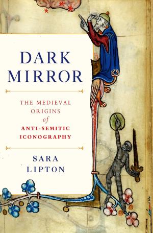 bigCover of the book Dark Mirror by 