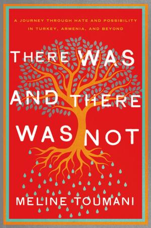 Cover of the book There Was and There Was Not by Bonnie Burnard