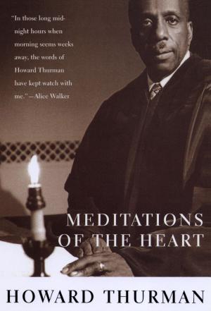 Cover of the book Meditations of the Heart by David D. Burstein