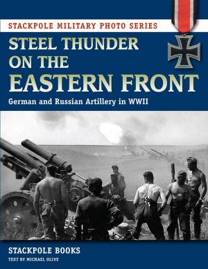 Book cover of Steel Thunder on the Eastern Front