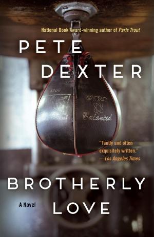 Cover of the book Brotherly Love by Aaron Pitters