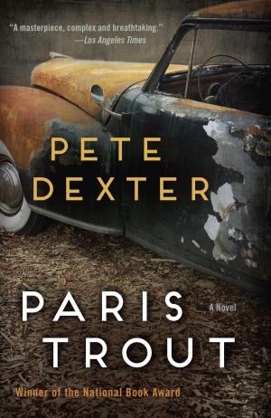 Cover of the book Paris Trout by Jean M. Auel