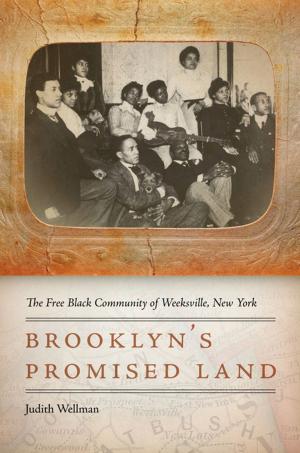 Cover of the book Brooklyn's Promised Land by Vincent Woodard