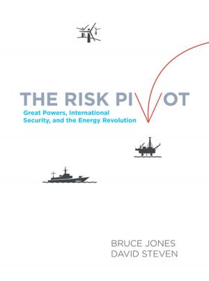 Cover of the book The Risk Pivot by Geoffrey Gibson