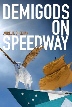 Cover of the book Demigods on Speedway by Tom Miller