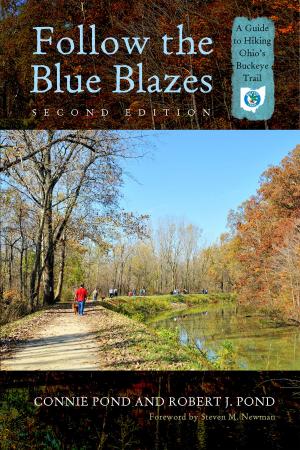 Cover of the book Follow the Blue Blazes by Jan Bender Shetler