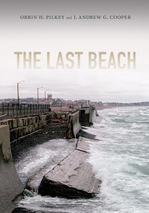 Book cover of The Last Beach
