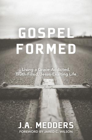 Cover of the book Gospel Formed by R. Larry Moyer